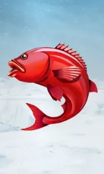 Ice Fishing
